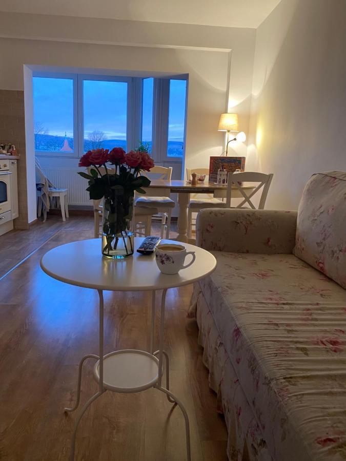 Homestay Rose Peony Cluj-Napoca
